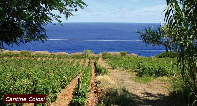 Cantine Colosi Cantine Colosi