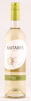 Sauvignon Blanc 2022, D.O. Valle Central, Antares (Chile)