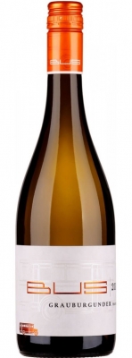 Grauburgunder trocken 2024, Weingut Bus