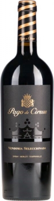 Pago de Cirsus Seleccionada 2020, Navarra DO, Bodegas Inaki Nunez