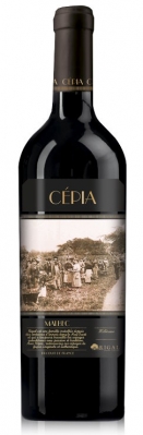 Malbec CÉPIA 2022, Comté Colosan IGP, Rigal