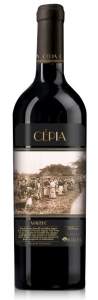 Malbec CÉPIA 2022, Comté Colosan IGP, Rigal