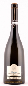 Prosecco Treviso, Vino Frizzante Spago, Villa Armellina