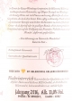 Wundermäd'l Rosé 2016, Niederösterreich, Helenental Kellerei